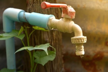7 Signs of a Leaking Outdoor Faucet