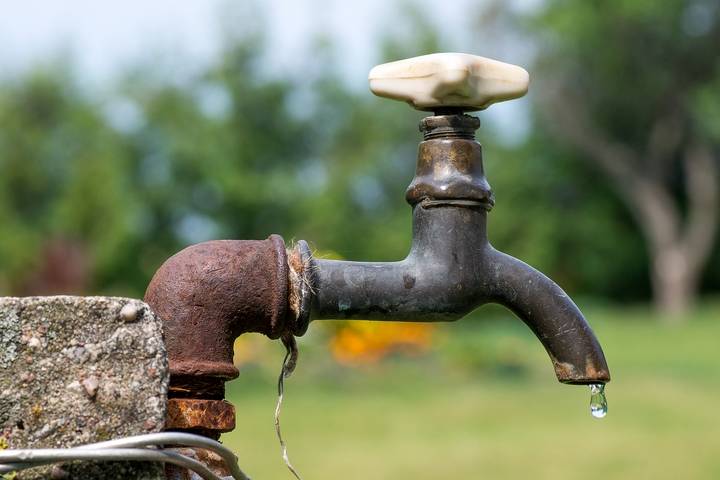 You may have a leaking outdoor faucet if you have mold and mildew.
