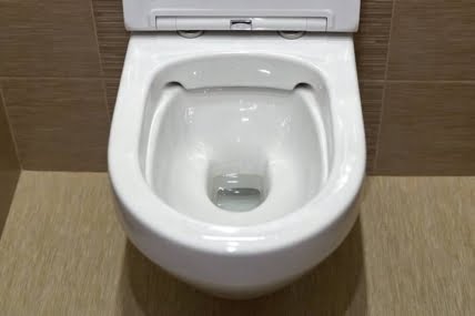 Why is the Toilet Not Filling with Water After Flush