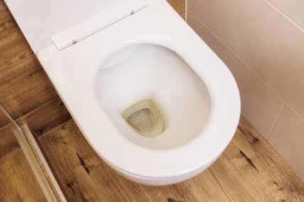 6 Reasons Why Water Level in Toilet Bowl Is Low