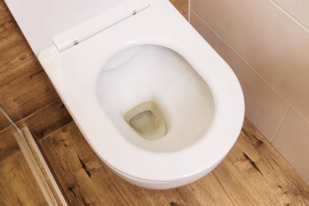 Low Water Level in Toilet Bowl  